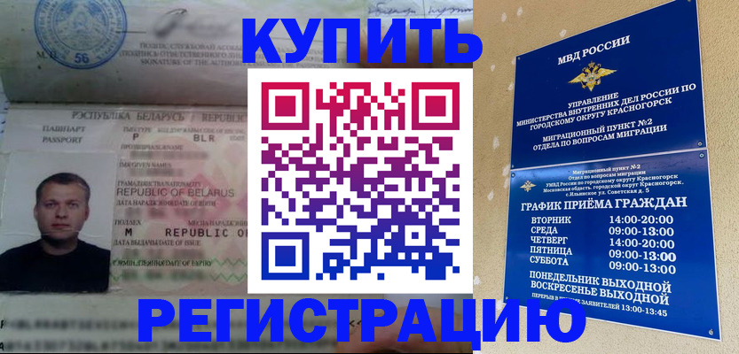 прописка законно в Новозыбкове